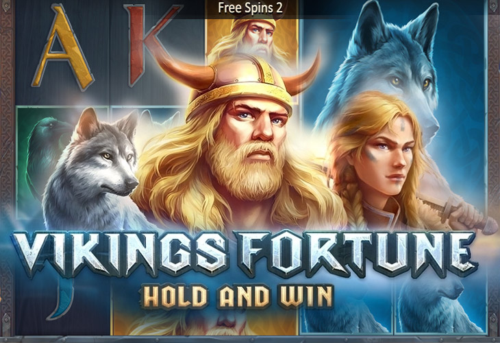 Vikings Fortune: Hold and Win