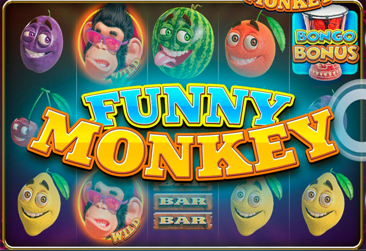 Funny Monkey