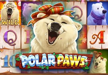 Polar Paws
