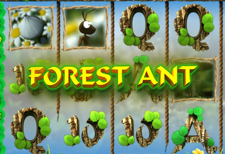 Forest Ant