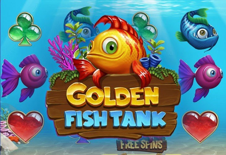 Golden Fish Tank