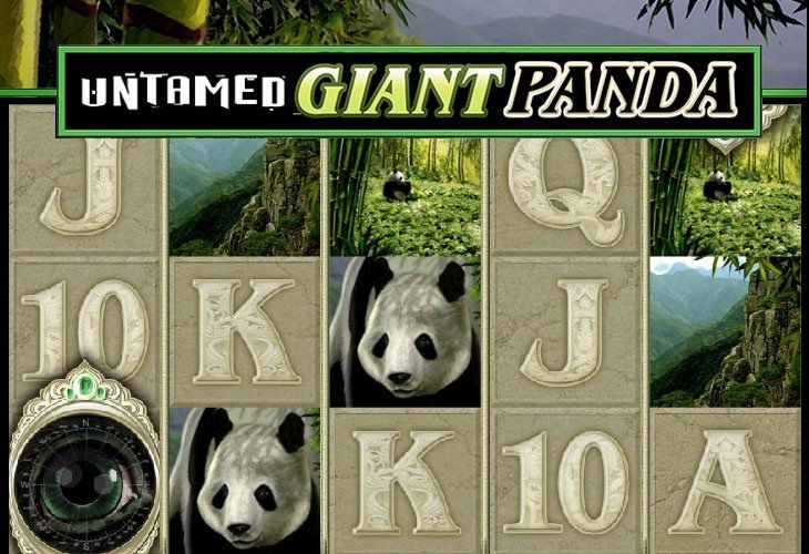 Untamed Giant Panda